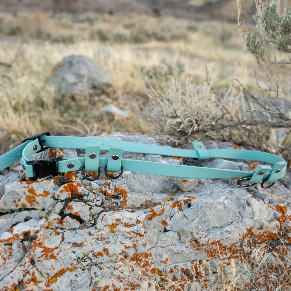 pop - productshots-outdoors-1-min-square