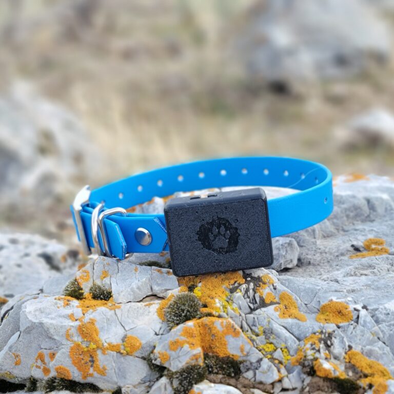 20260301_111826-square