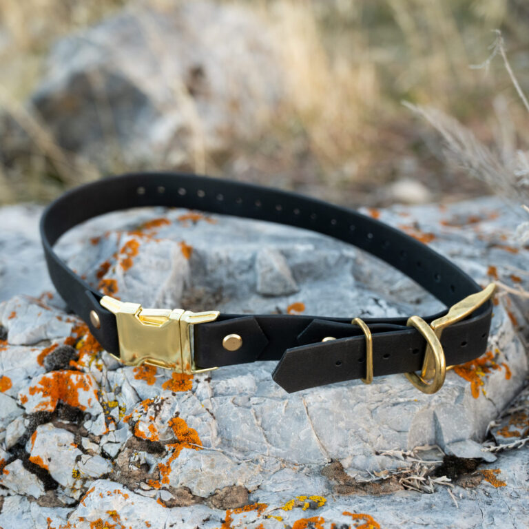 pop - productshots-outdoors-10